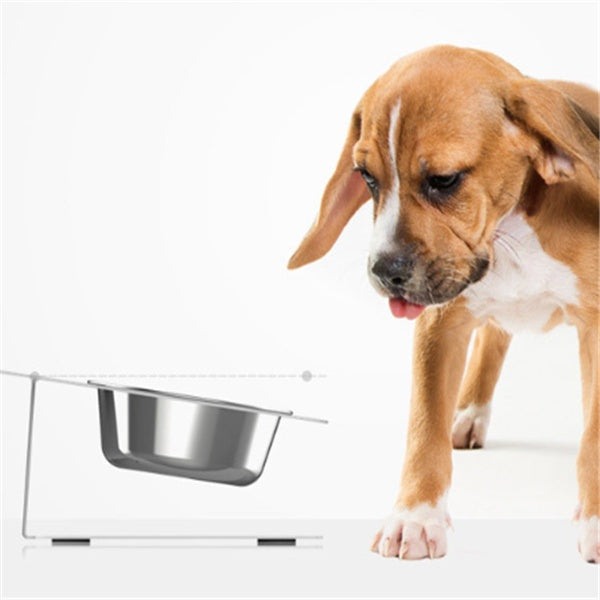 Anti-falling Cat Dog Feeding Water Bowl - Stainless Steel