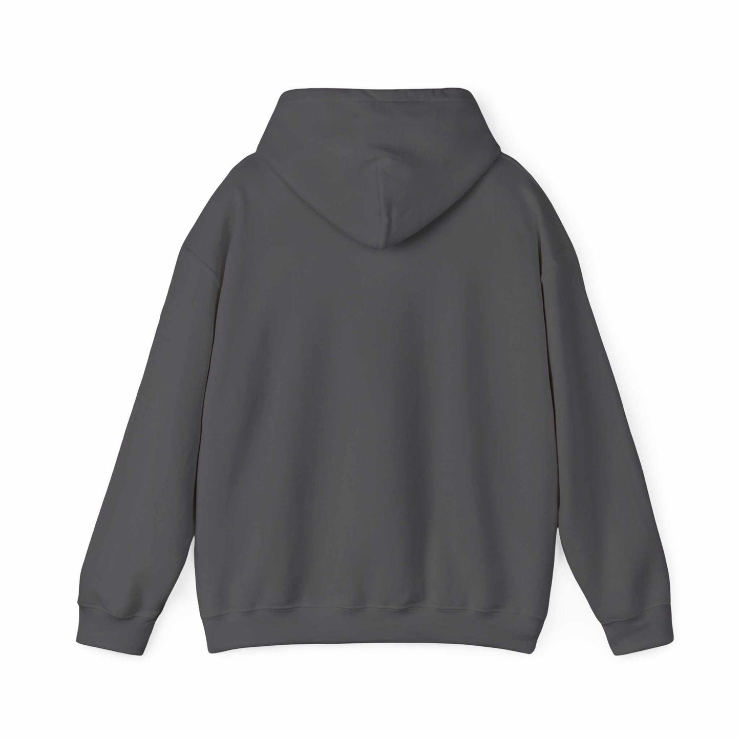 Unisex heavy cotton hoodie in dark gray, showing back view with hood and long sleeves.