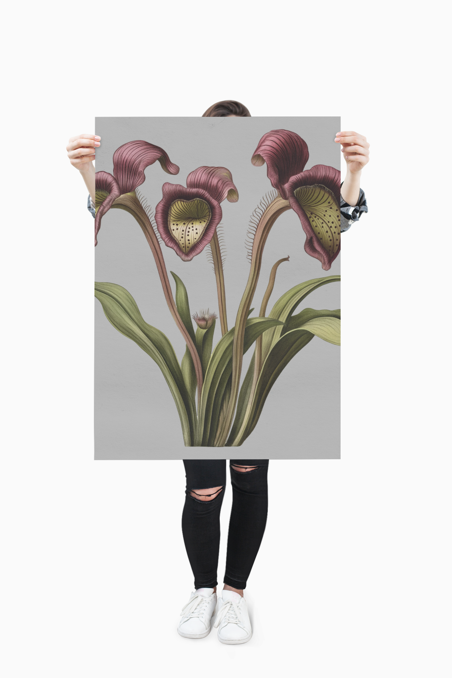Framed vertical poster with botanical design, featuring black, white, or walnut frame and protective acrylic cover.