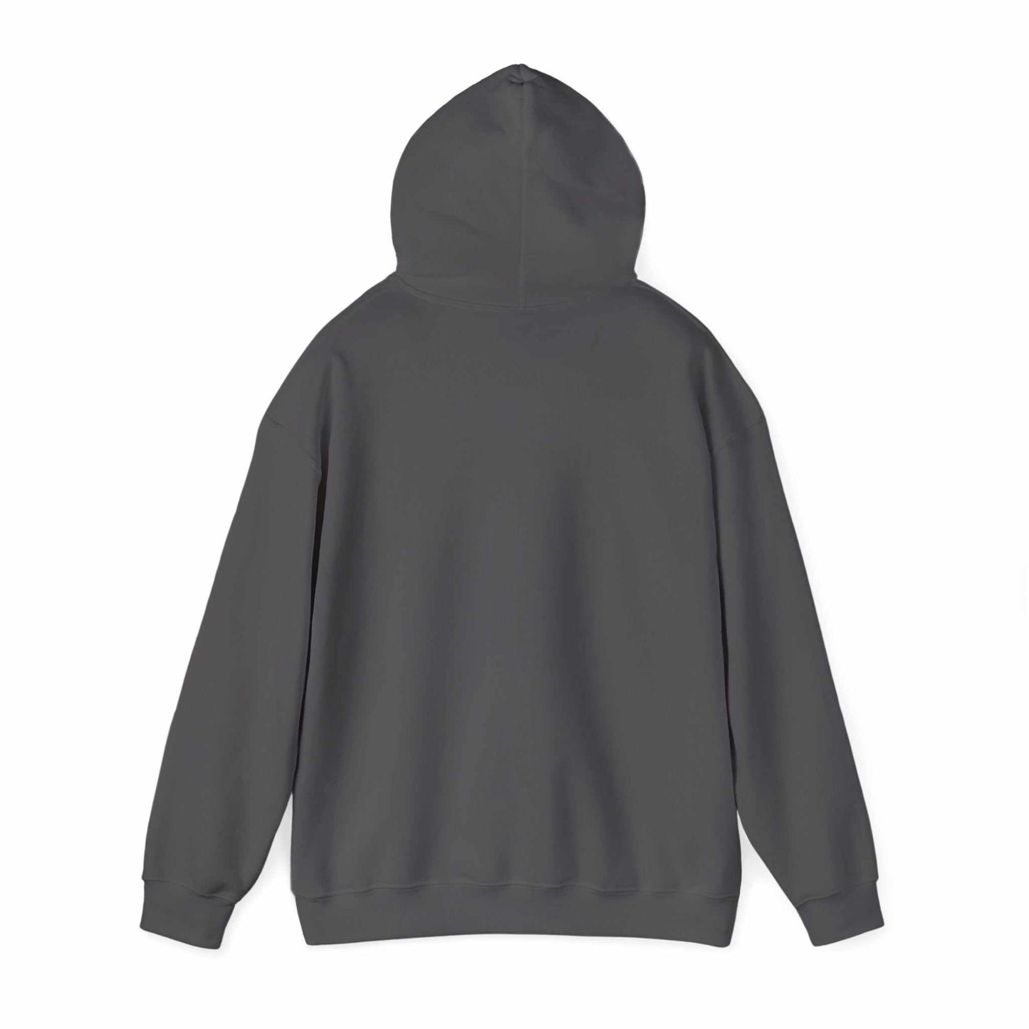 Unisex heavy blend hooded sweatshirt in charcoal gray, back view.