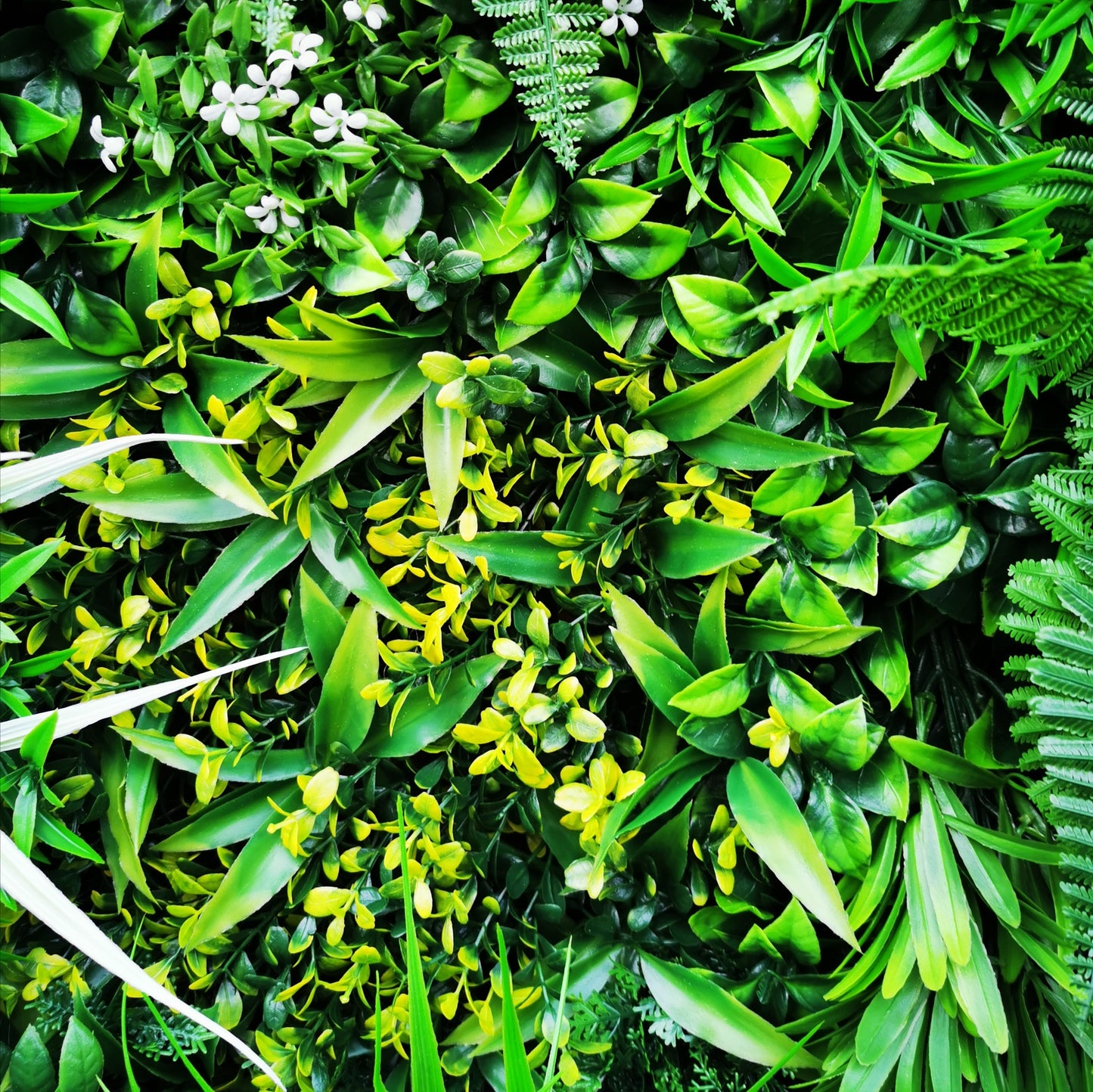 Artificial Green Wall Panel - 100x100cm Deluxe Hedge