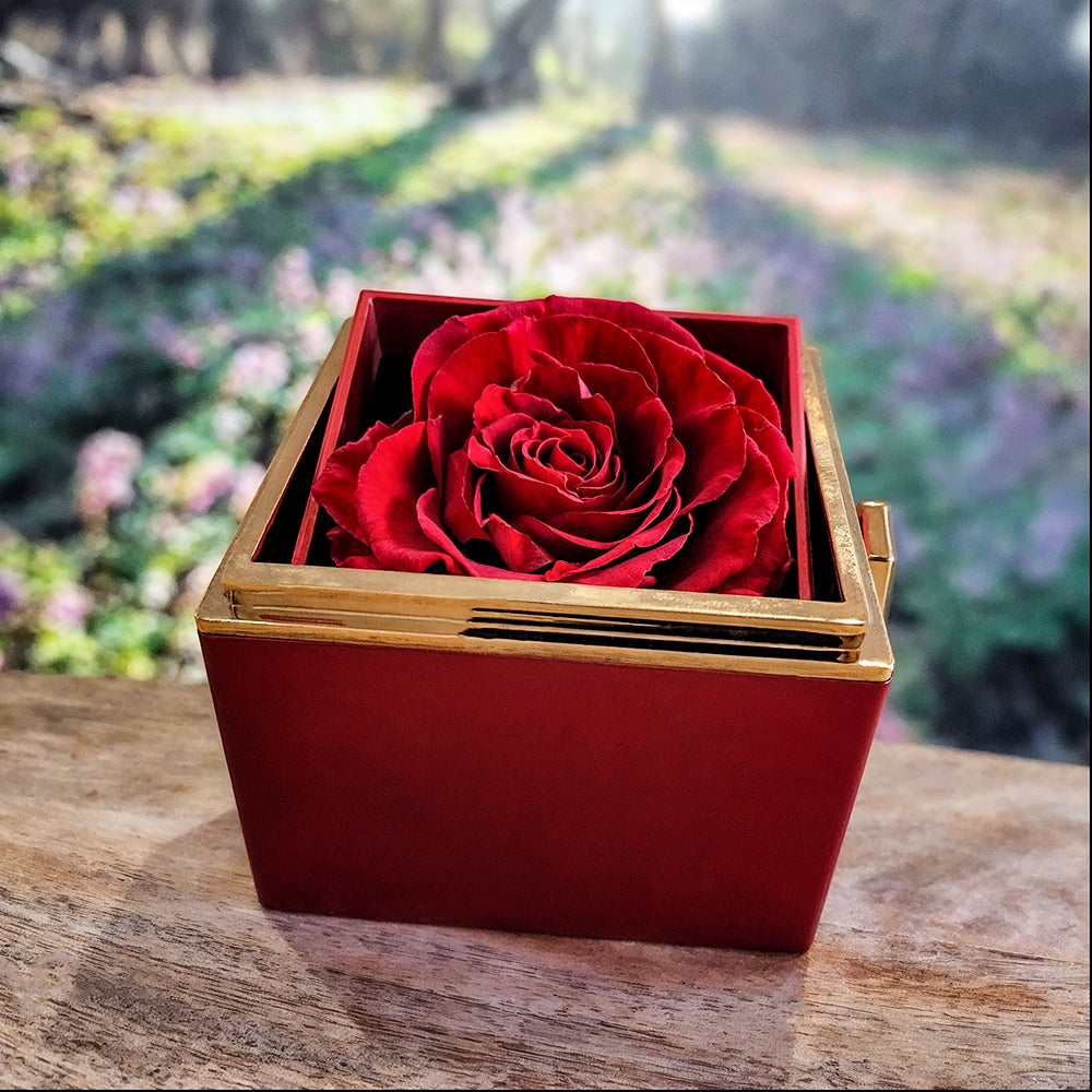 Luxurious gift box with preserved red rose and Love Knot Necklace.