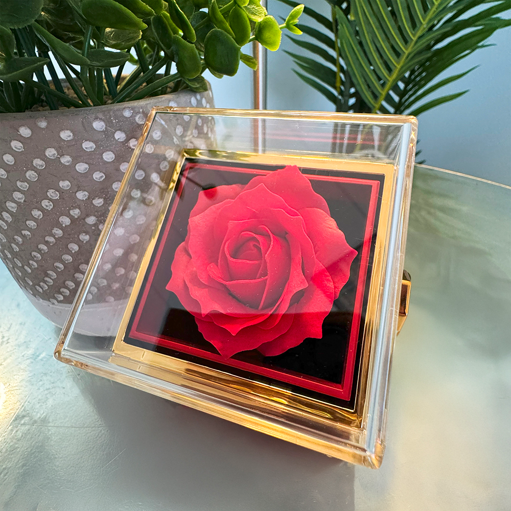 Luxurious gift box with preserved red rose for Love Knot Necklace.