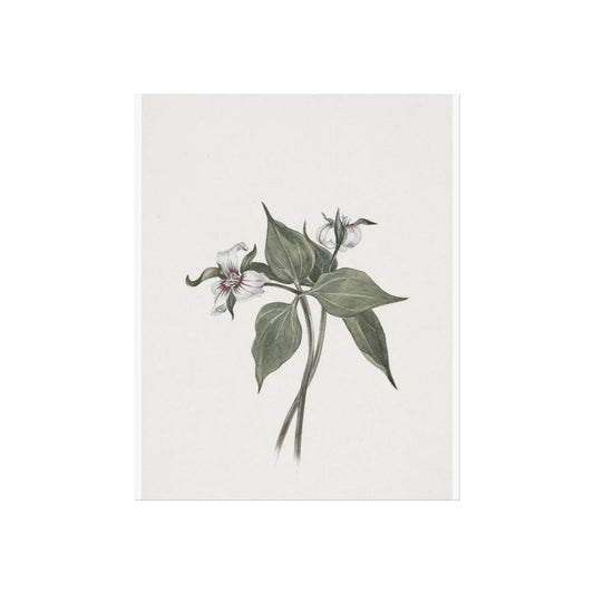 Botanical Wall Art Fine Art Posters Floral Design, Nature-Inspired Home Decor, Flower Print for Living Room & Bedroom - Toddcraft