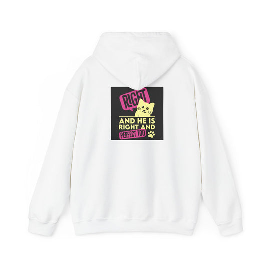 Cozy Unisex Cat Lover Hoodie: Cute & Funny Sweatshirt for Animal Enthusiasts - Toddcraft