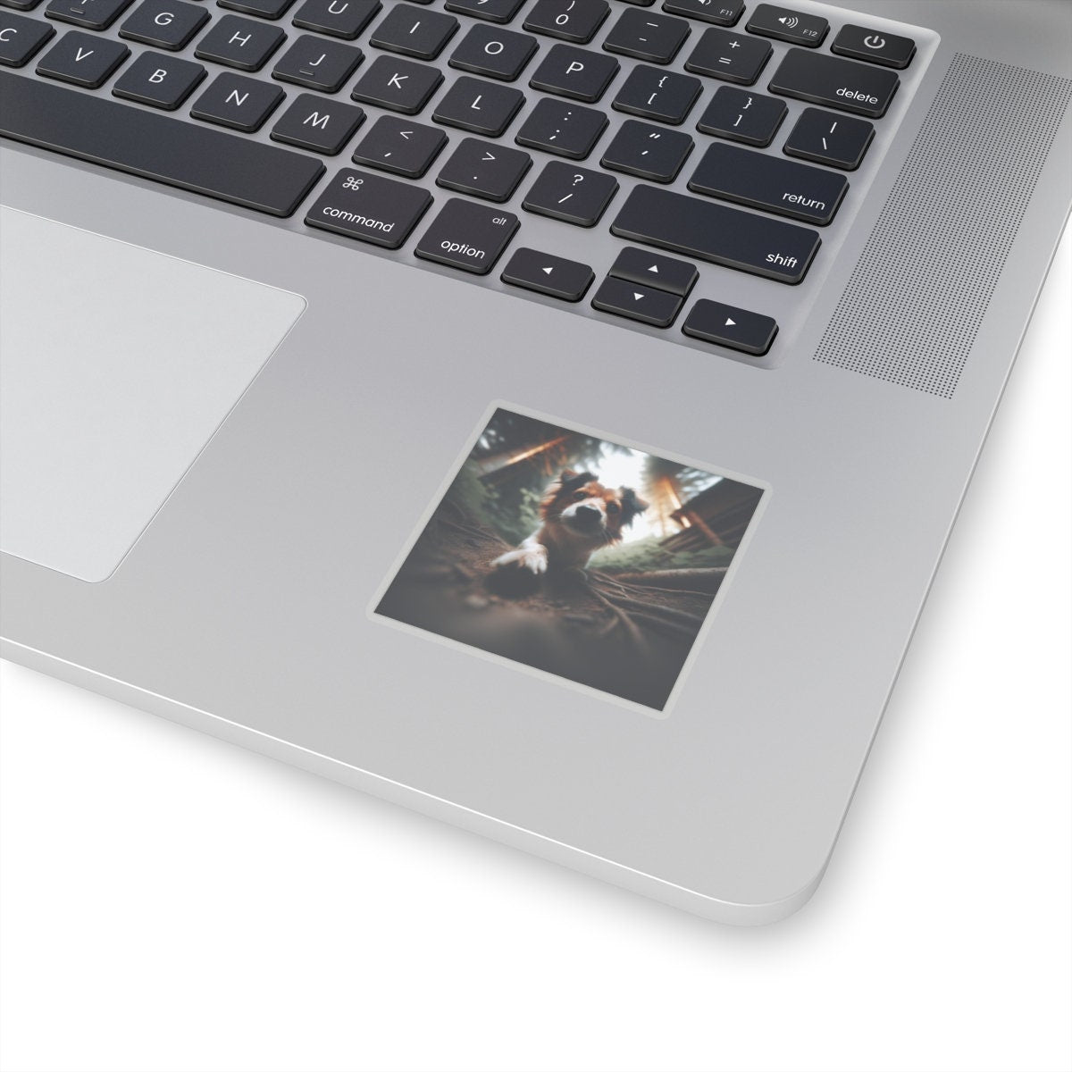 Dog Image Kiss-Cut Vinyl Stickers - Die-Cut Personalized Animal Decals for Gifts - Toddcraft