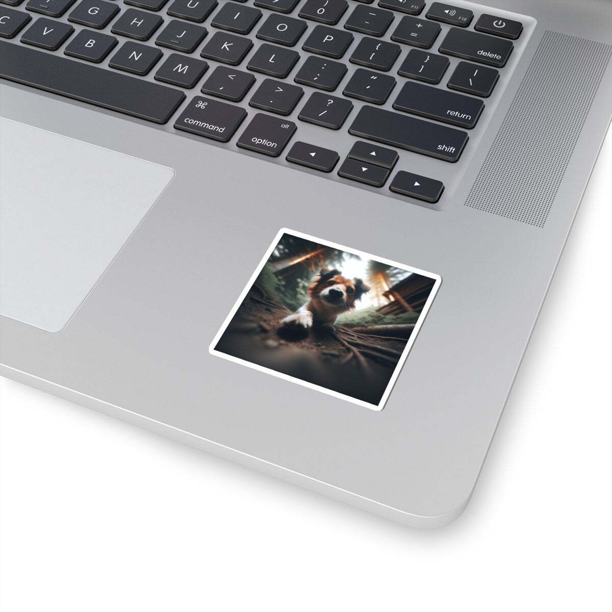 Dog Image Kiss-Cut Vinyl Stickers - Die-Cut Personalized Animal Decals for Gifts - Toddcraft