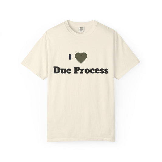 I Love Due Process T-Shirt Unisex Garment-Dyed Legal Shirt Gift for Lawyers & Legal Enthusiasts Law Tee - Toddcraft