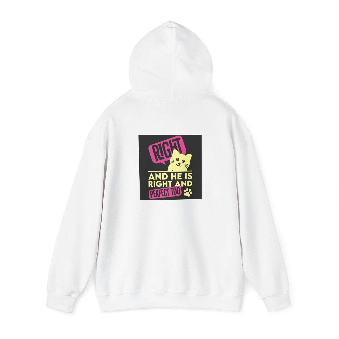 Cozy Unisex Cat Lover Hoodie: Cute & Funny Sweatshirt for Animal Enthusiasts - Toddcraft