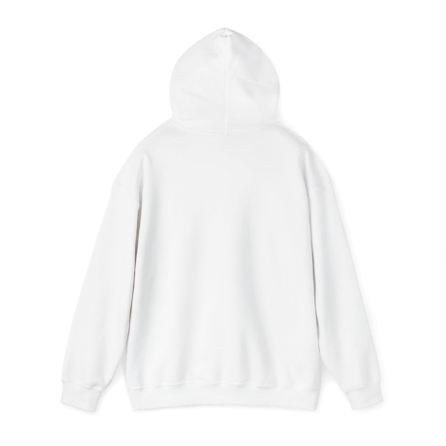 Unisex Heavy Blend Hooded Sweatshirt, Be Nice, Be Kind, Sincere, Girlfriend gift - Toddcraft