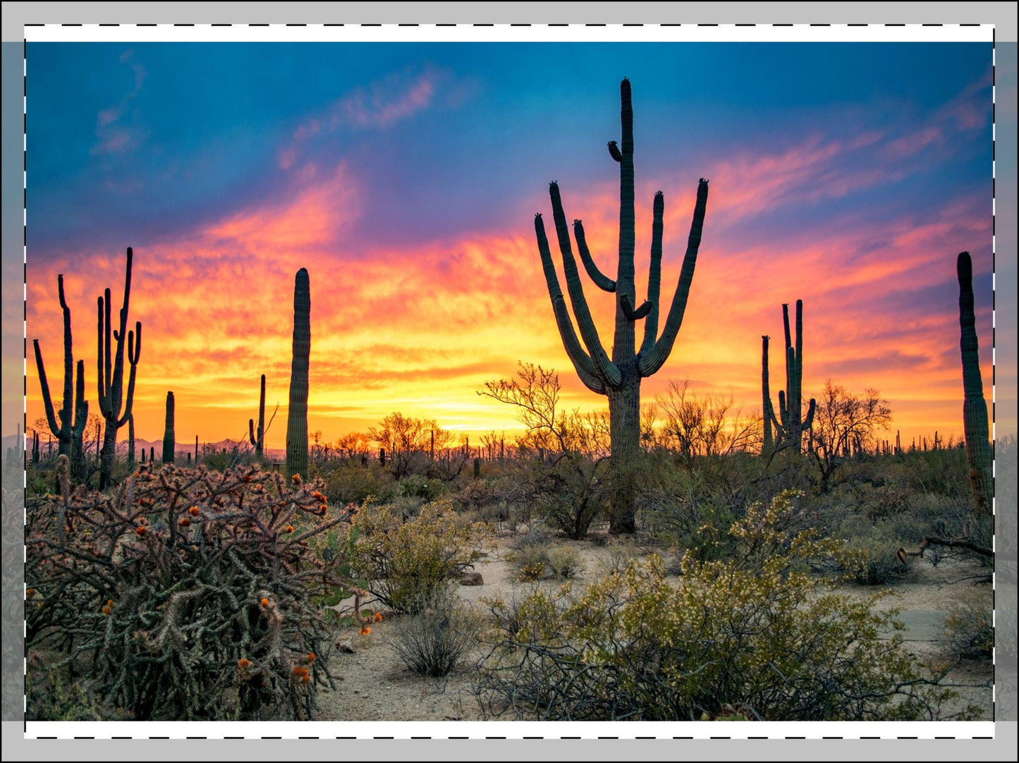Vibrant Desert Sunset Landscape Framed Poster - Saguaro Cactus Wall Art Print, Southwest Decor - Toddcraft