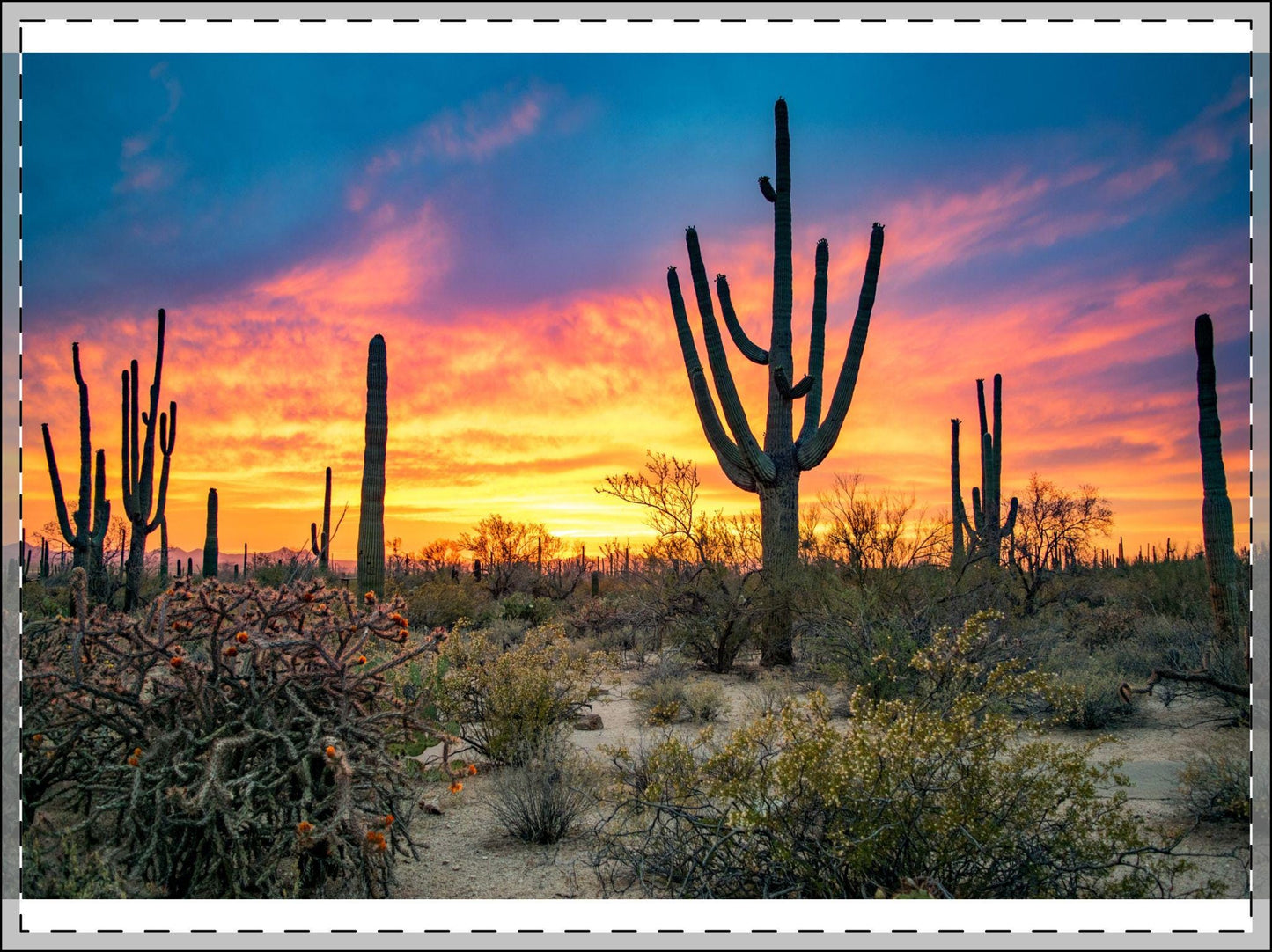 Vibrant Desert Sunset Landscape Framed Poster - Saguaro Cactus Wall Art Print, Southwest Decor - Toddcraft
