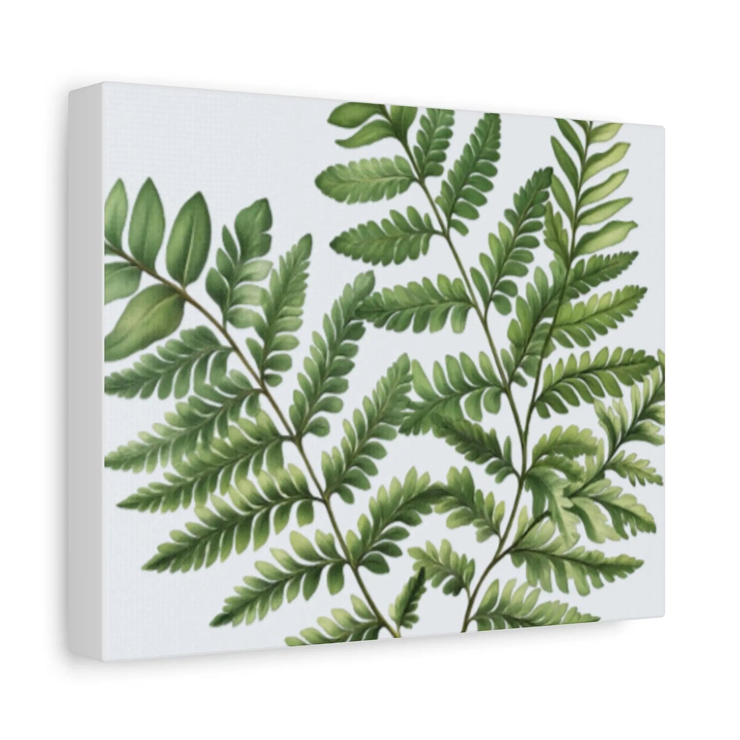 Botanical Nature Wall Art Print Matte Canvas Stretched 1.25" Frame Modern Greenery Décor for Living Room, Bedroom & Office - Toddcraft