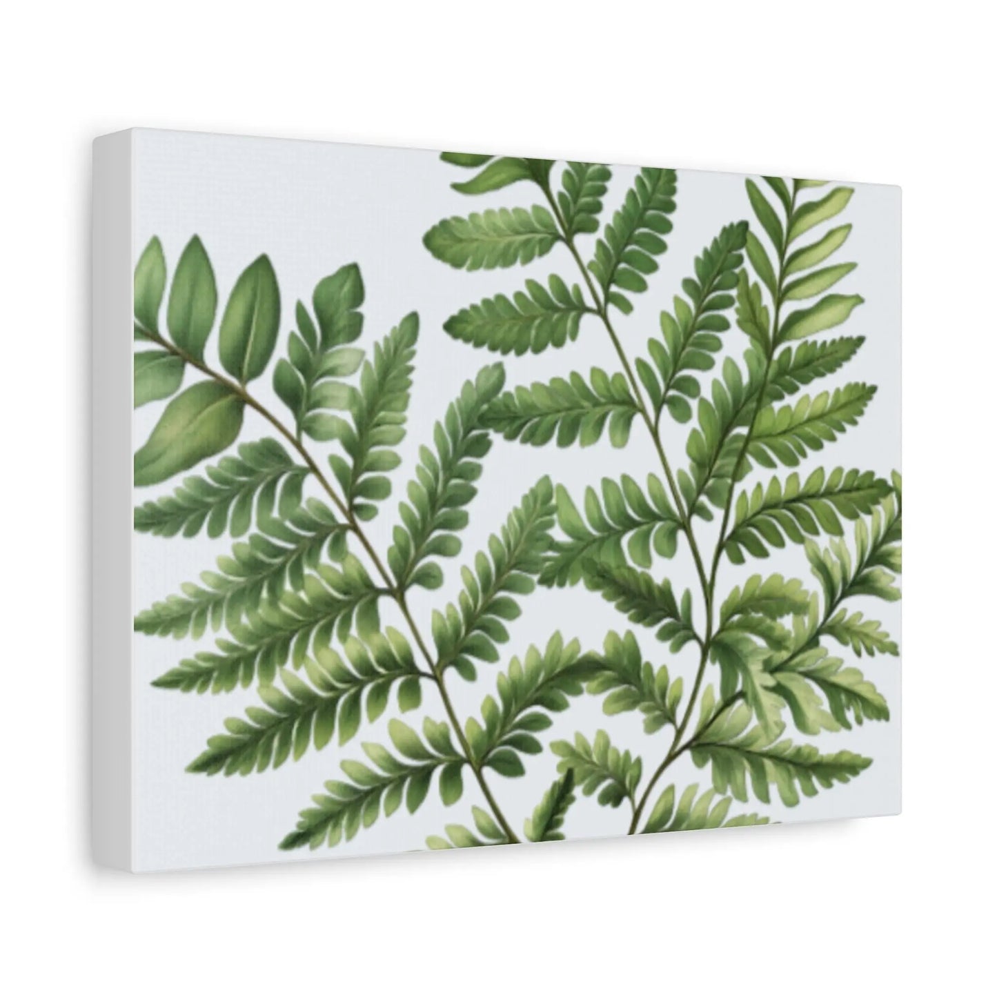 Botanical Nature Wall Art Print Matte Canvas Stretched 1.25" Frame Modern Greenery Décor for Living Room, Bedroom & Office - Toddcraft
