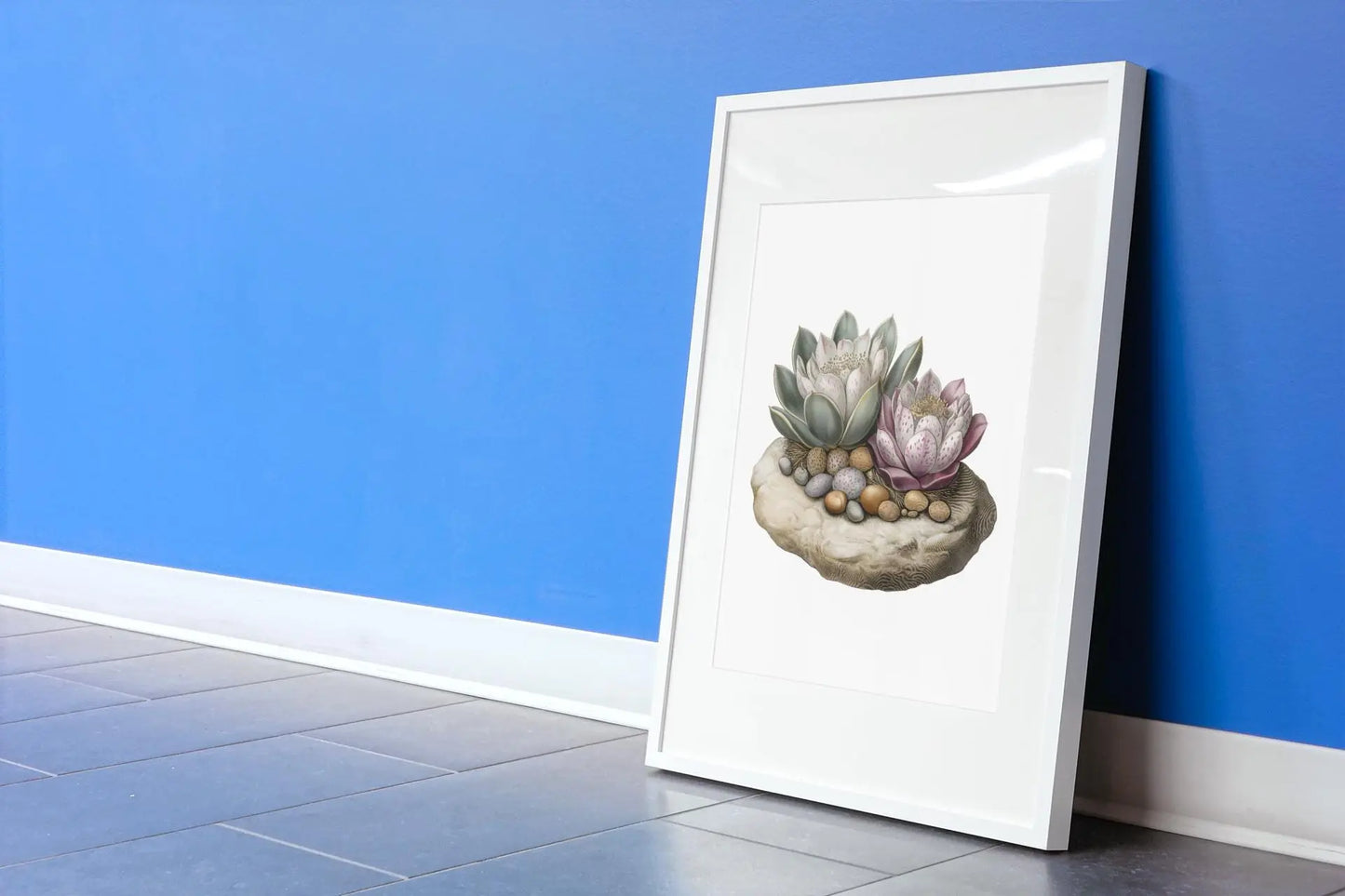 Succulent Wall Art Echeveria Rosette Botanical Print with Pebble Detail, Fine Art Poster for Home Decor - Toddcraft