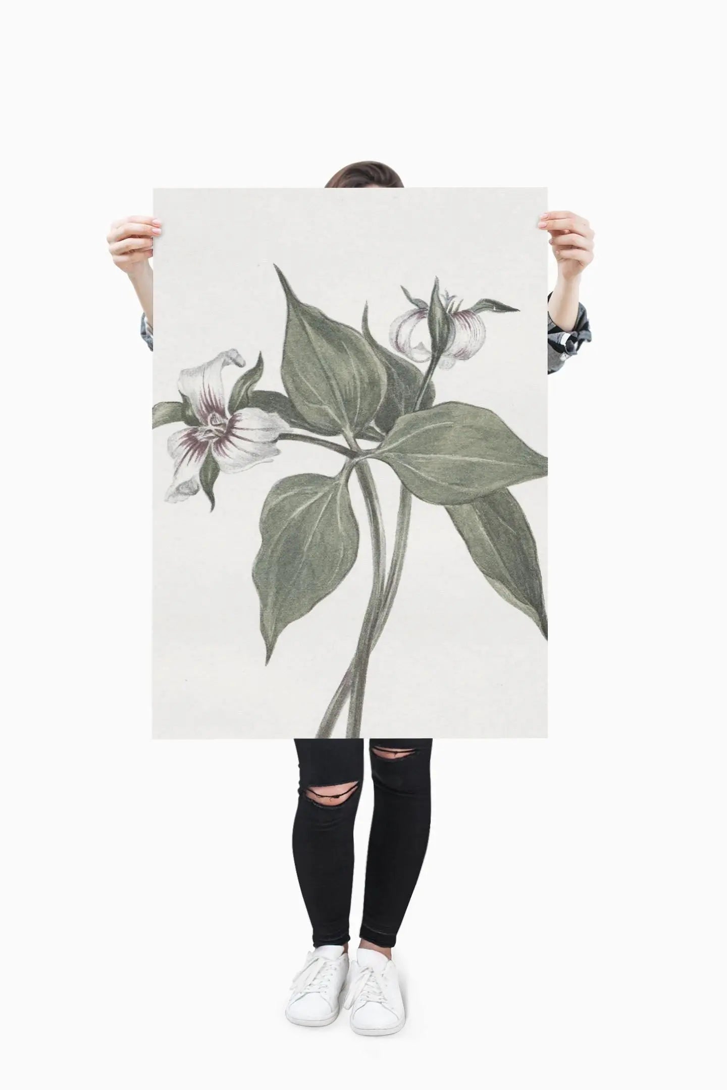 Botanical Wall Art Fine Art Posters Floral Design, Nature-Inspired Home Decor, Flower Print for Living Room & Bedroom - Toddcraft