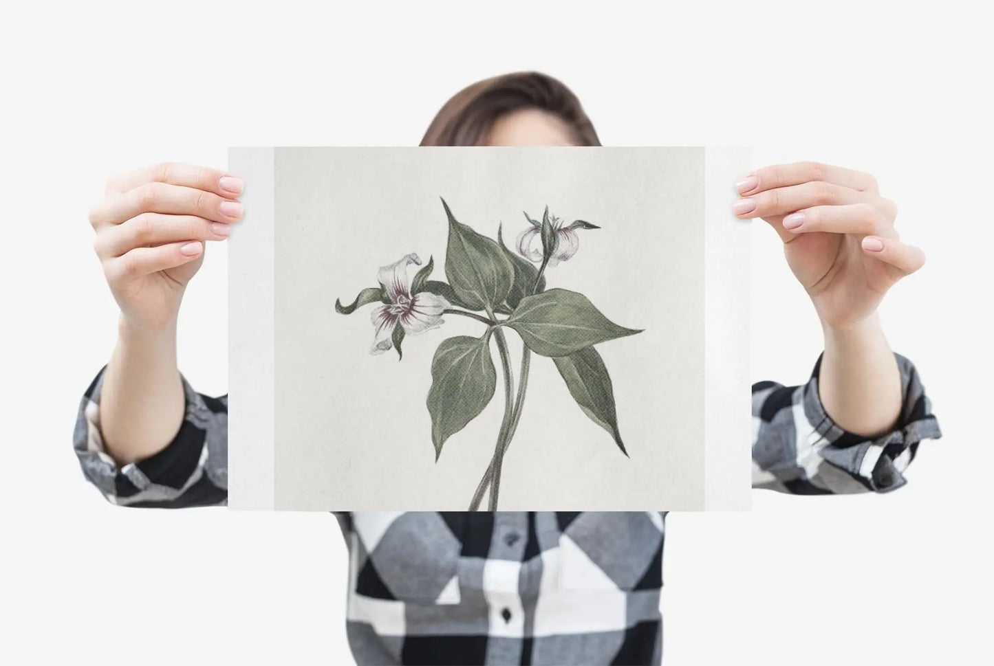 Botanical Wall Art Fine Art Posters Floral Design, Nature-Inspired Home Decor, Flower Print for Living Room & Bedroom - Toddcraft