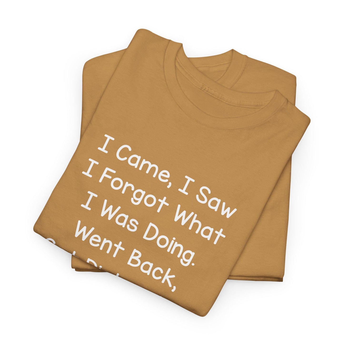 Unisex Heavy Cotton Graphic Tee I Came I Saw I Forgot What I Was Doing Cute Saying Shirt Casual Funny Top