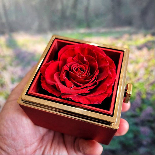 Luxurious gift box with preserved red rose for Love Knot Necklace.