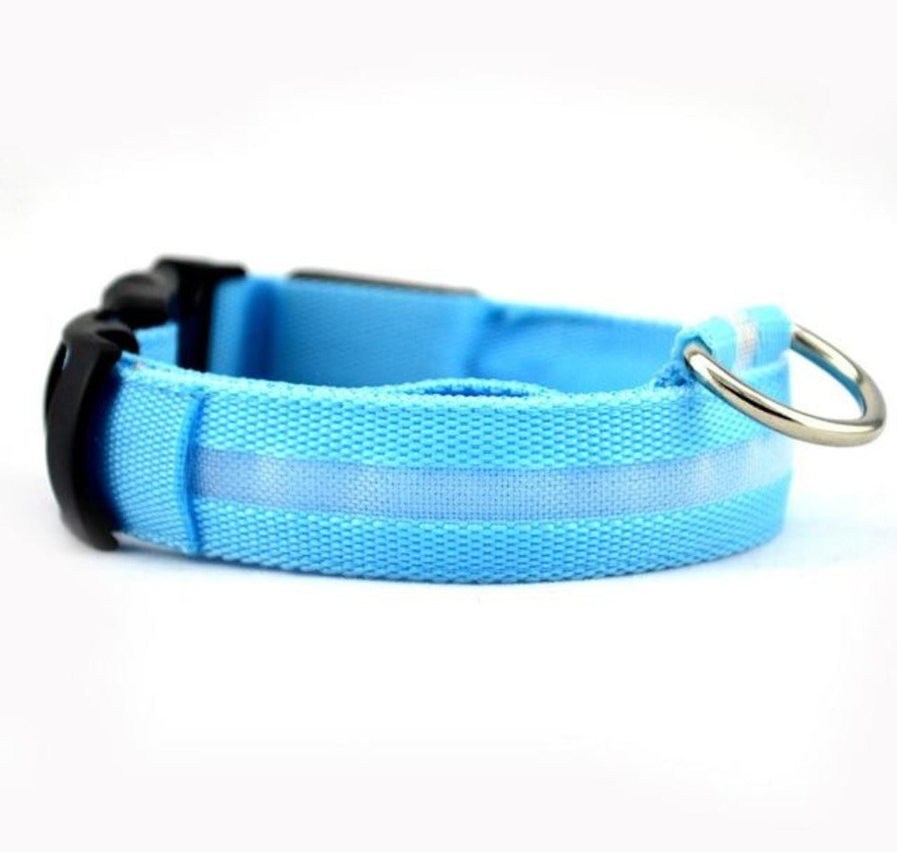 2 PCS Set Nylon LED Dog Collar - Toddcraft