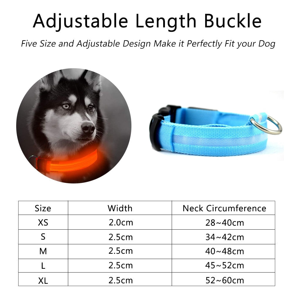 2 PCS Set Nylon LED Dog Collar - Toddcraft
