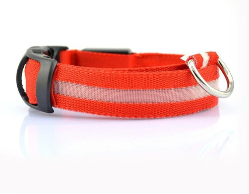 2 PCS Set Nylon LED Dog Collar - Toddcraft