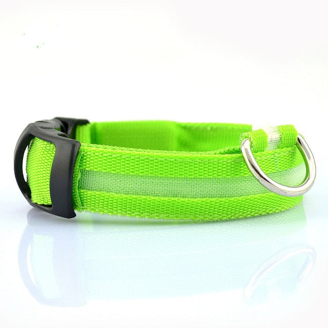 2 PCS Set Nylon LED Dog Collar - Toddcraft