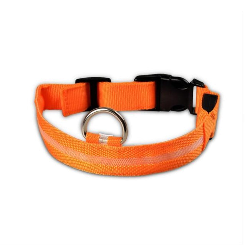 2 PCS Set Nylon LED Dog Collar - Toddcraft