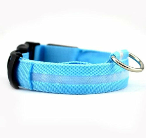2 PCS Set Nylon LED Dog Collar - Toddcraft