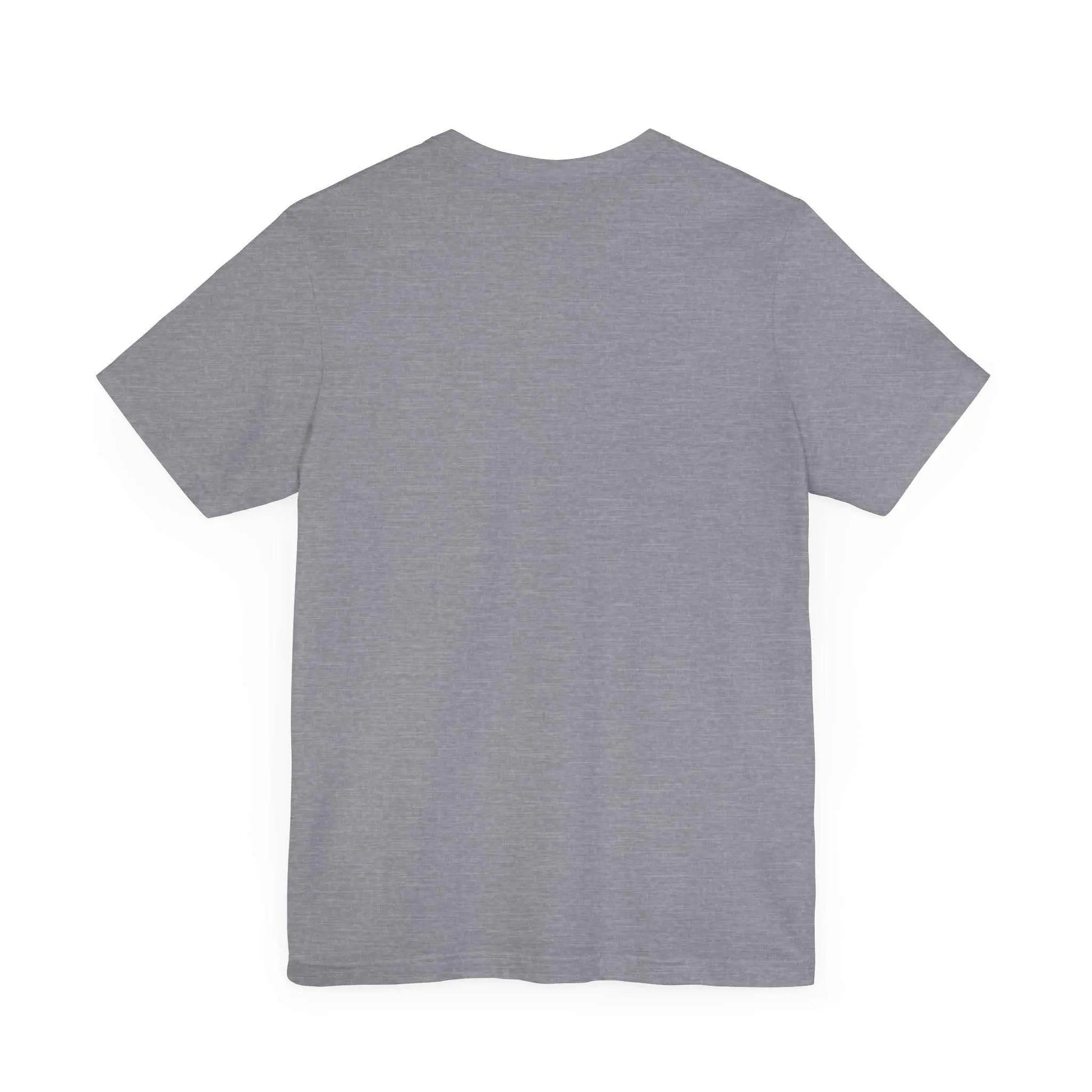 Unisex jersey short sleeve tee in gray, soft cotton, crew neckline, lightweight fabric.