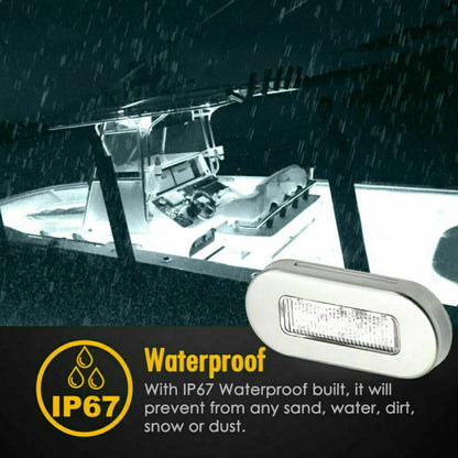 Marine LED Courtesy Lights for Boats & RVs | 12V Stainless Steel Waterproof Accent Lights (2-Pack)