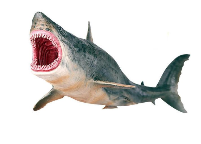 Megalodon Prehistoric Shark Model - Giant Tooth Shark Figure