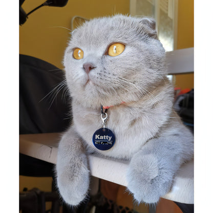 Custom Engraved Pet ID Tag - Personalized Dog & Cat Tags