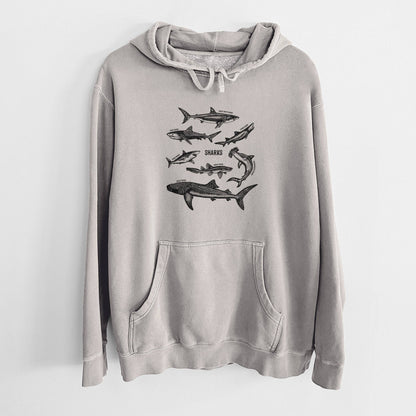 Shark Chart - Unisex Pigment Dyed Hoodie