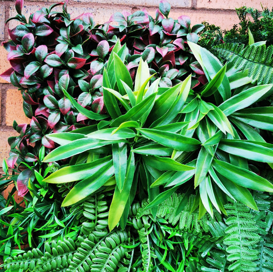 Artificial Green Wall Panel - 100x100cm Deluxe Hedge