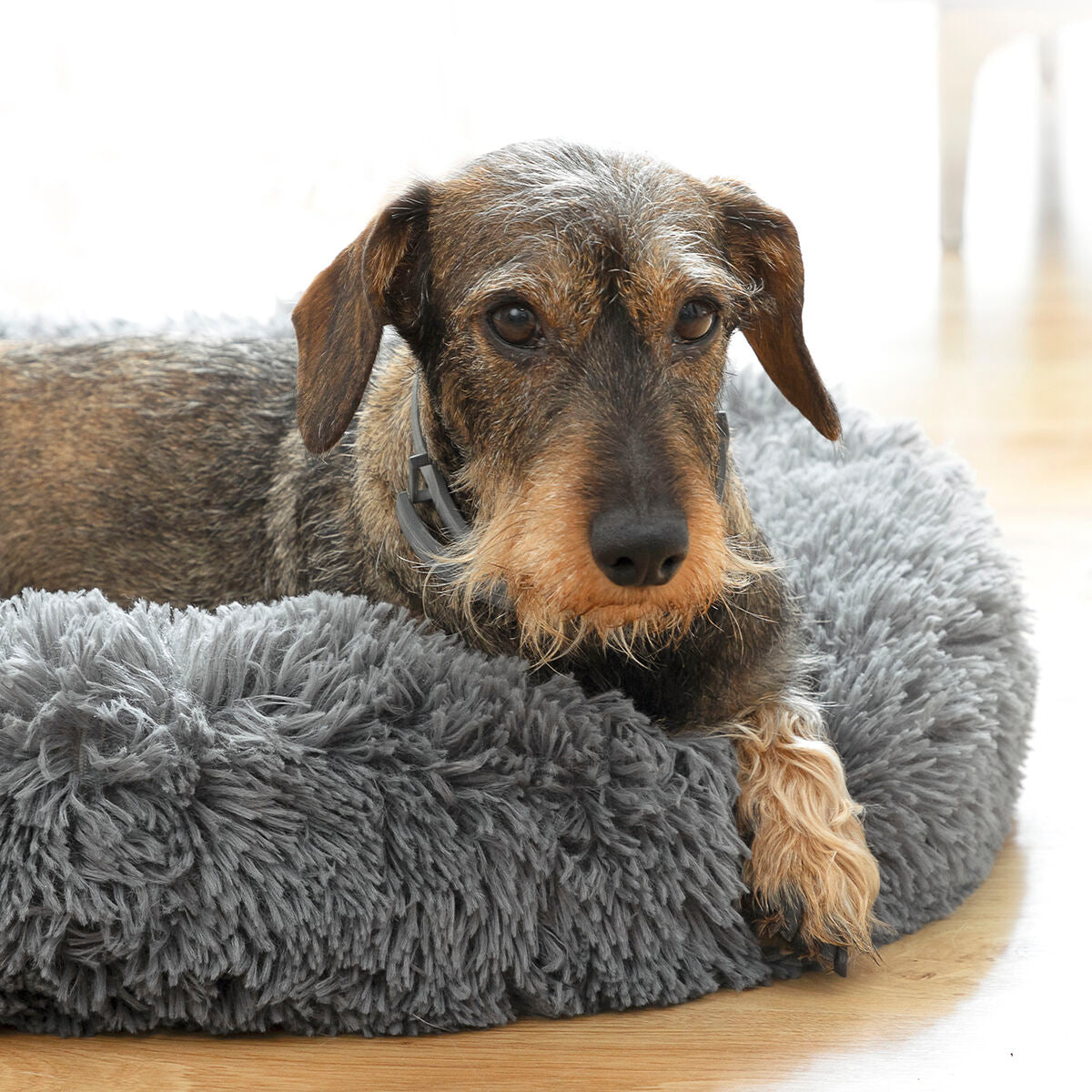 Anti-stress Pet Bed Bepess InnovaGoods Ø 60 cm - Toddcraft
