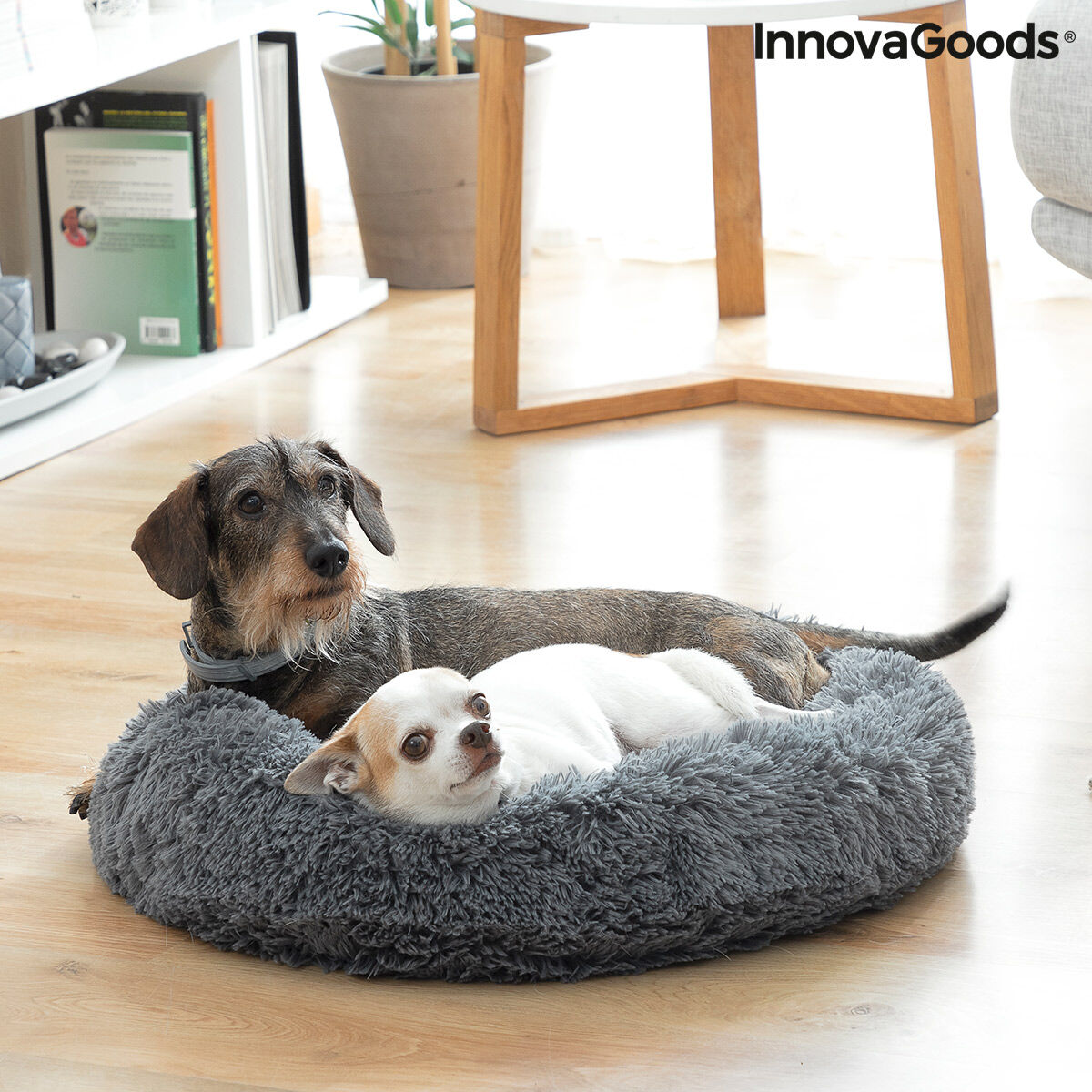Anti-stress Pet Bed Bepess InnovaGoods Ø 60 cm - Toddcraft