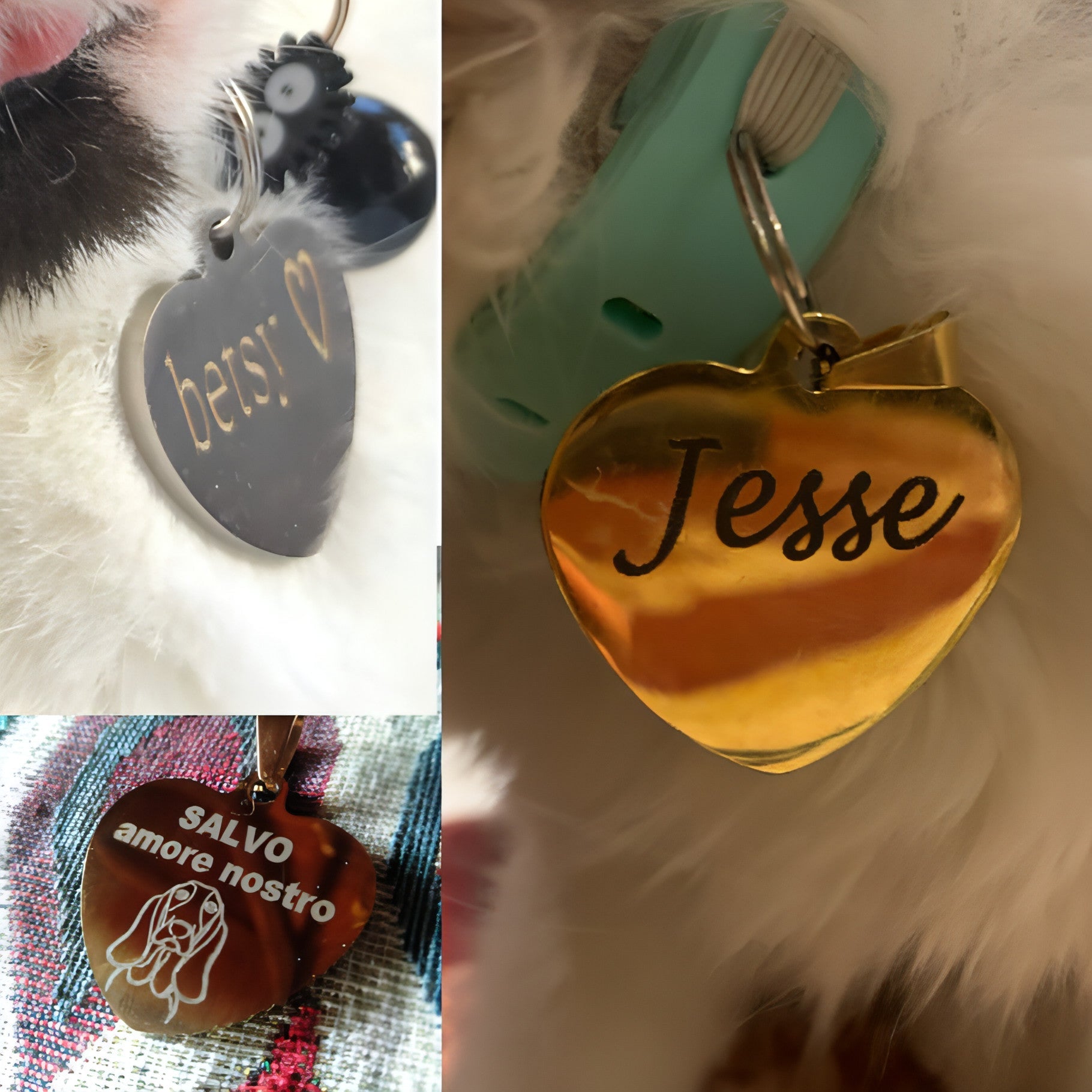 Custom Engraved Pet ID Tag - Personalized Dog & Cat Tags - Toddcraft