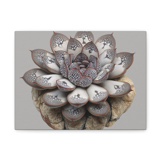 Echeveria 'Raindrops' Succulent Art Print | Unique Raised Leaf Texture | Botanical Wall Decor for Plant Lovers | Rare Succulent canvas - Toddcraft