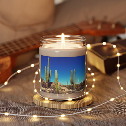 Artisanal Scented Soy Candle: Perfect for Romantic Evenings, Relaxation & Home Decor - Toddcraft