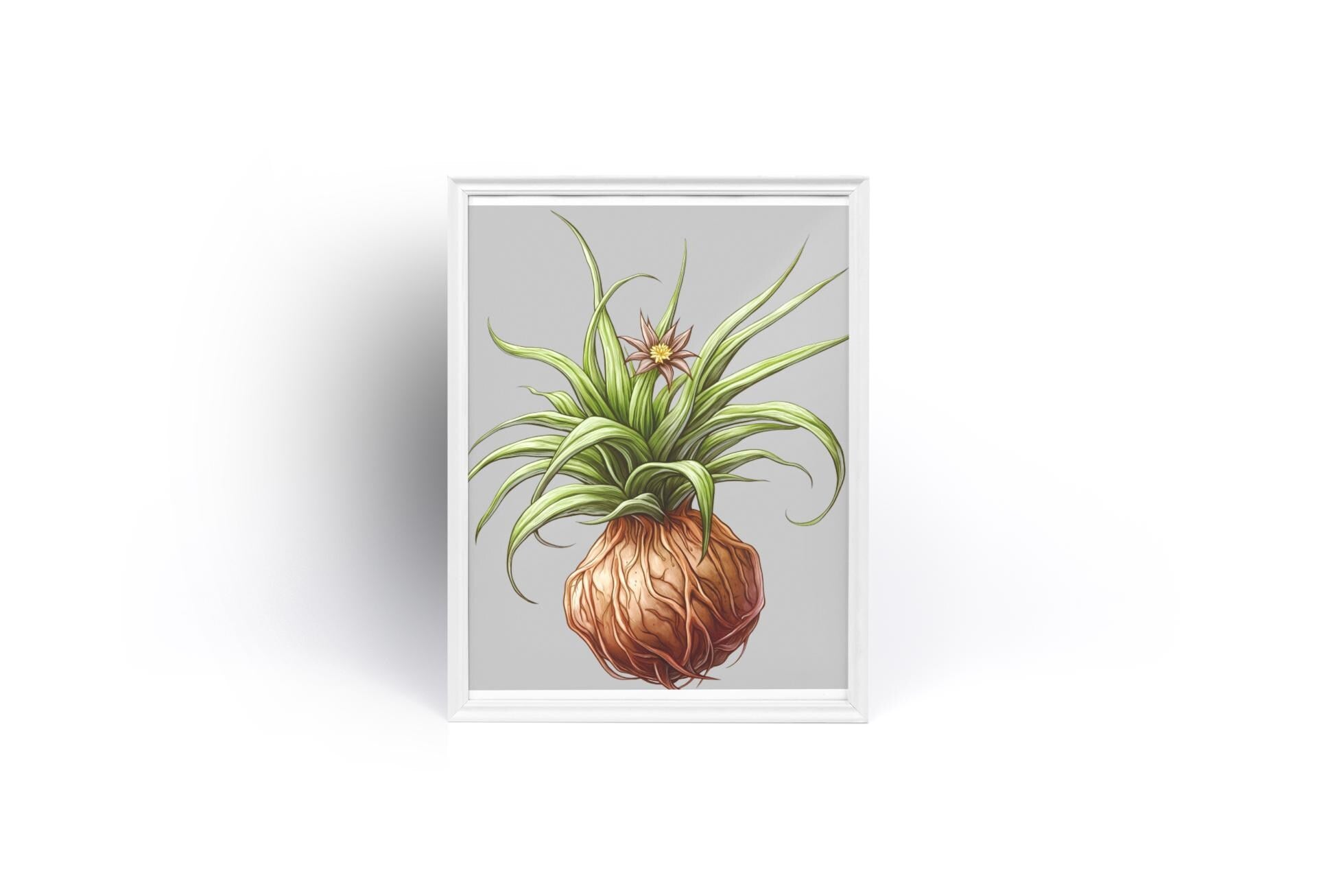 Climbing Onion Plant Print  Bowiea volubilis Wall Art | Botanical Bulb Art with Vines & Star Flowers | Unique Greenery Home Decor Framed - Toddcraft