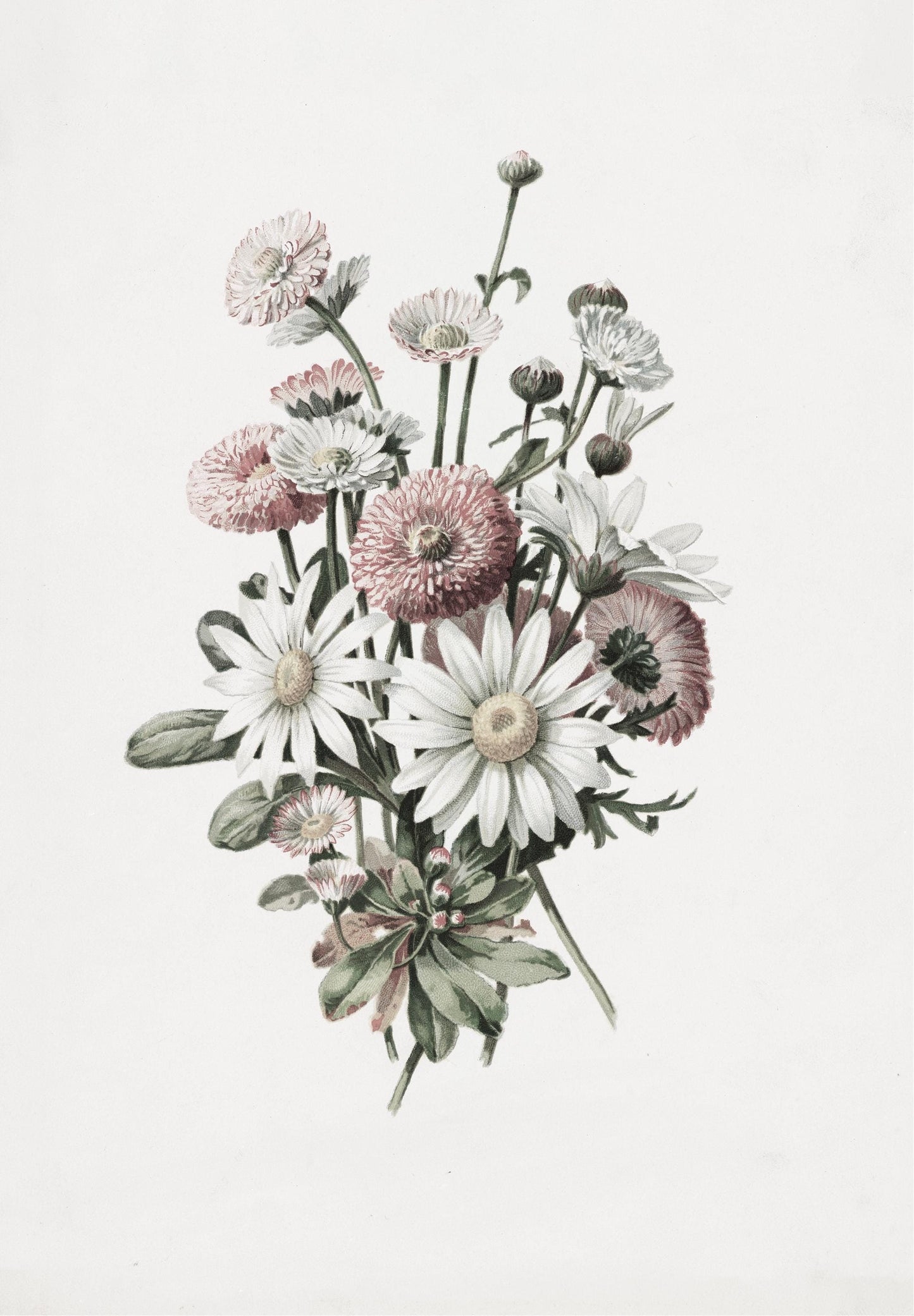 Elegant Framed Vertical Poster: Custom Wall Art for Home, Office & Gallery Decor - Toddcraft