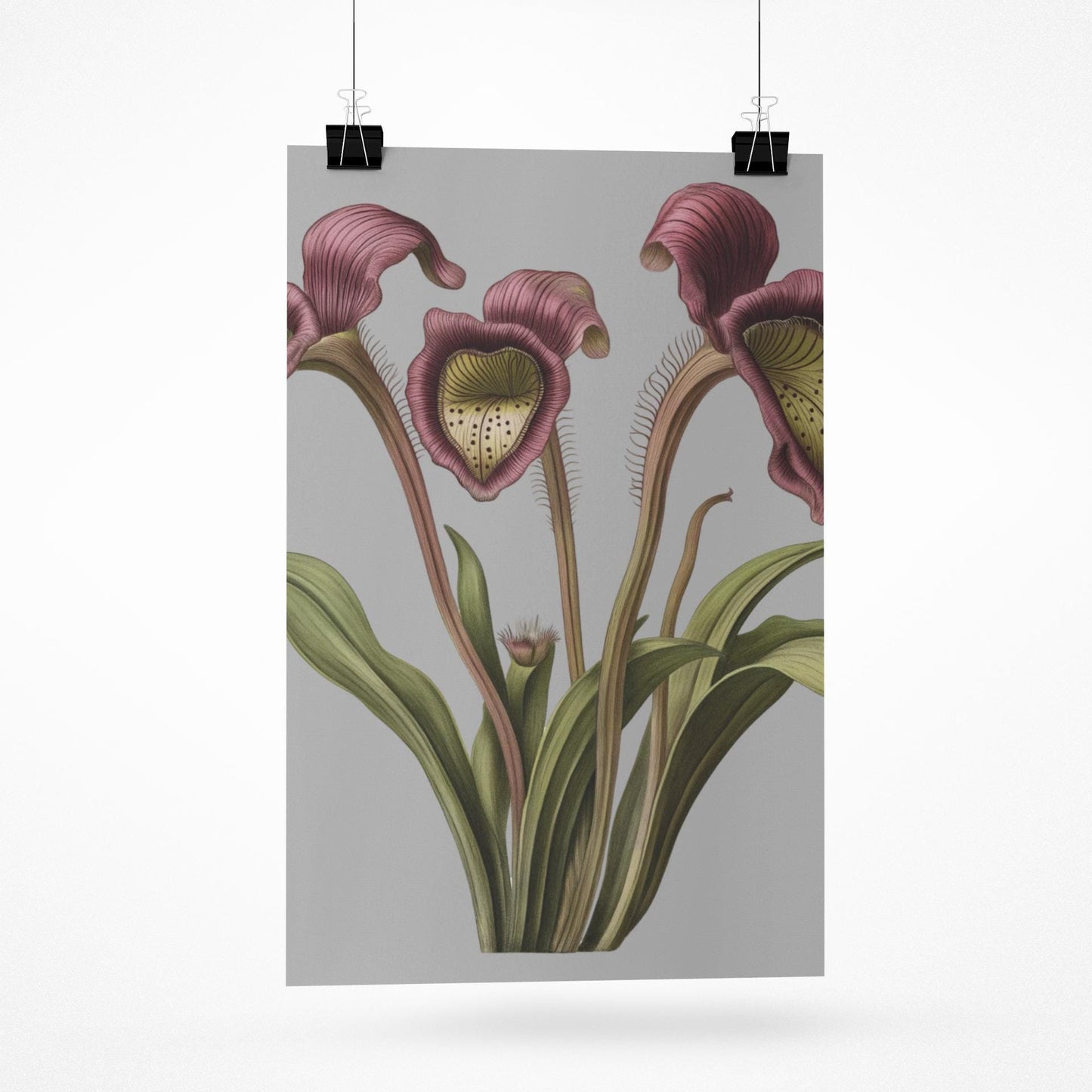 Pitcher Plant Wall Art Print, Carnivorous Plant Botanical Poster, Framed Vertical Nature Decor for Plant Lovers & Nature Enthusiasts - Toddcraft