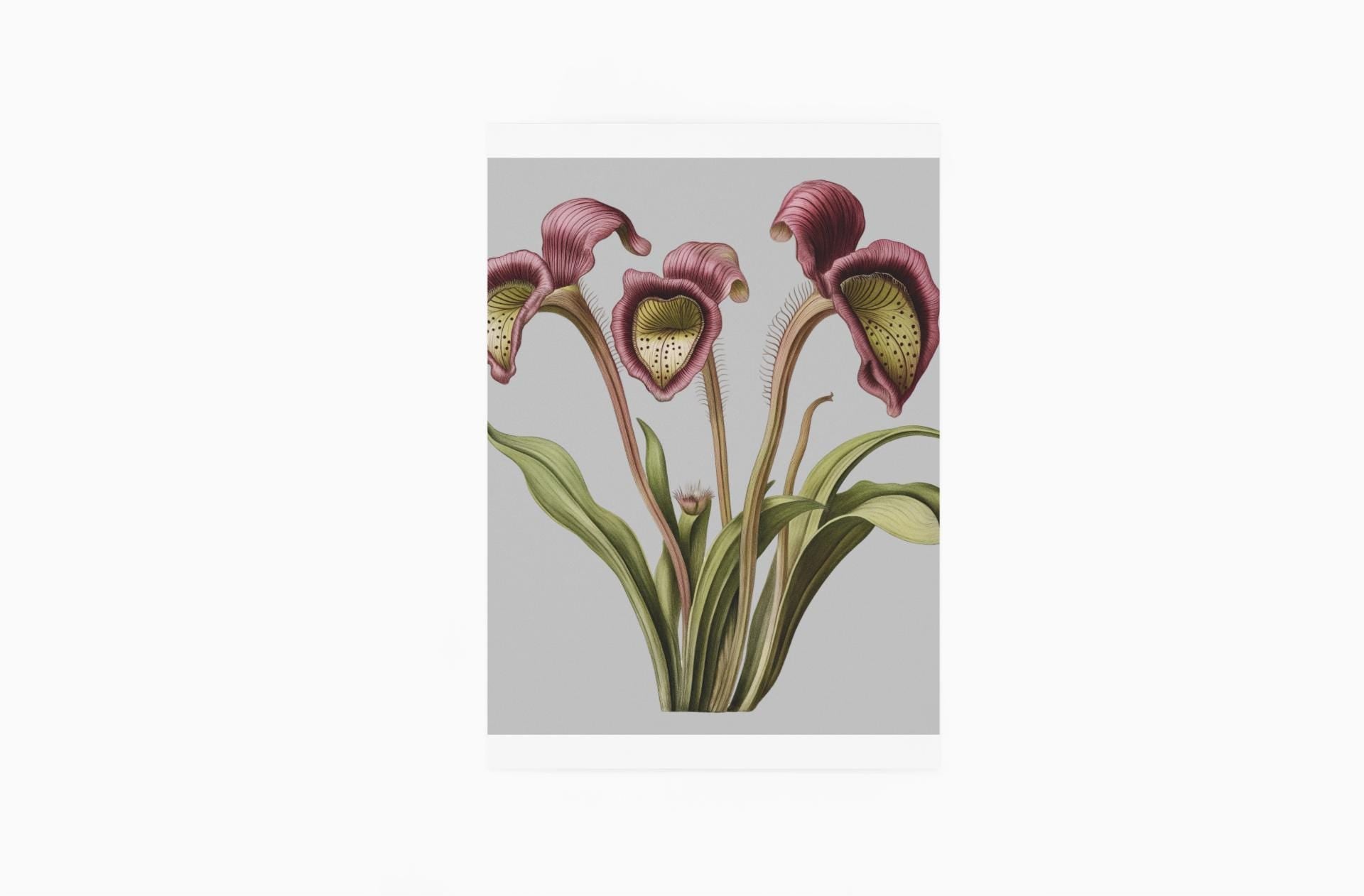 Pitcher Plant Wall Art Print, Carnivorous Plant Botanical Poster, Framed Vertical Nature Decor for Plant Lovers & Nature Enthusiasts - Toddcraft