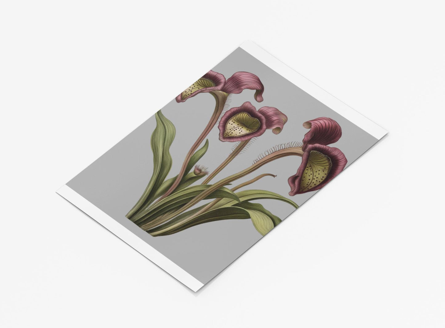 Pitcher Plant Wall Art Print, Carnivorous Plant Botanical Poster, Framed Vertical Nature Decor for Plant Lovers & Nature Enthusiasts - Toddcraft
