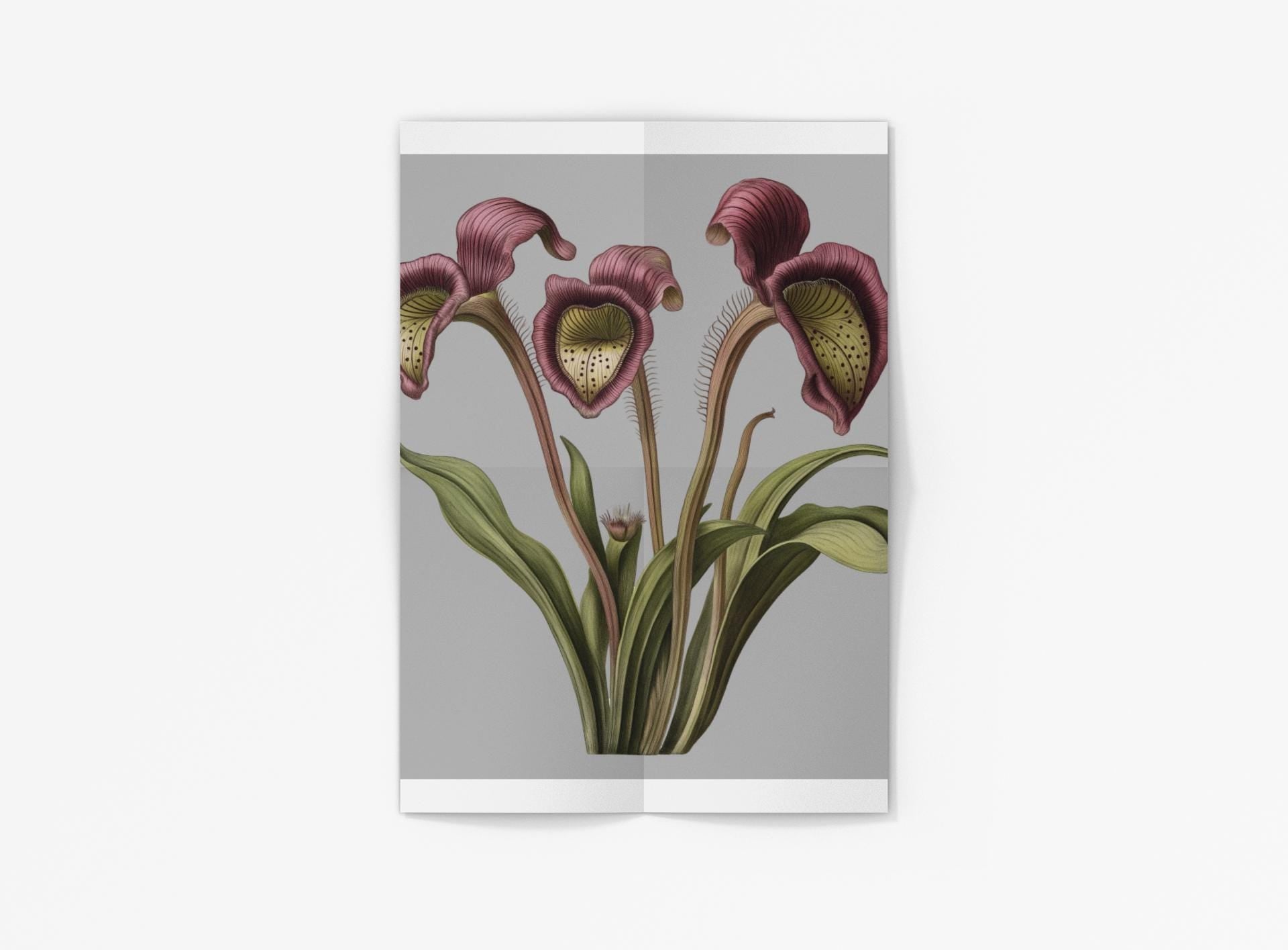 Pitcher Plant Wall Art Print, Carnivorous Plant Botanical Poster, Framed Vertical Nature Decor for Plant Lovers & Nature Enthusiasts - Toddcraft