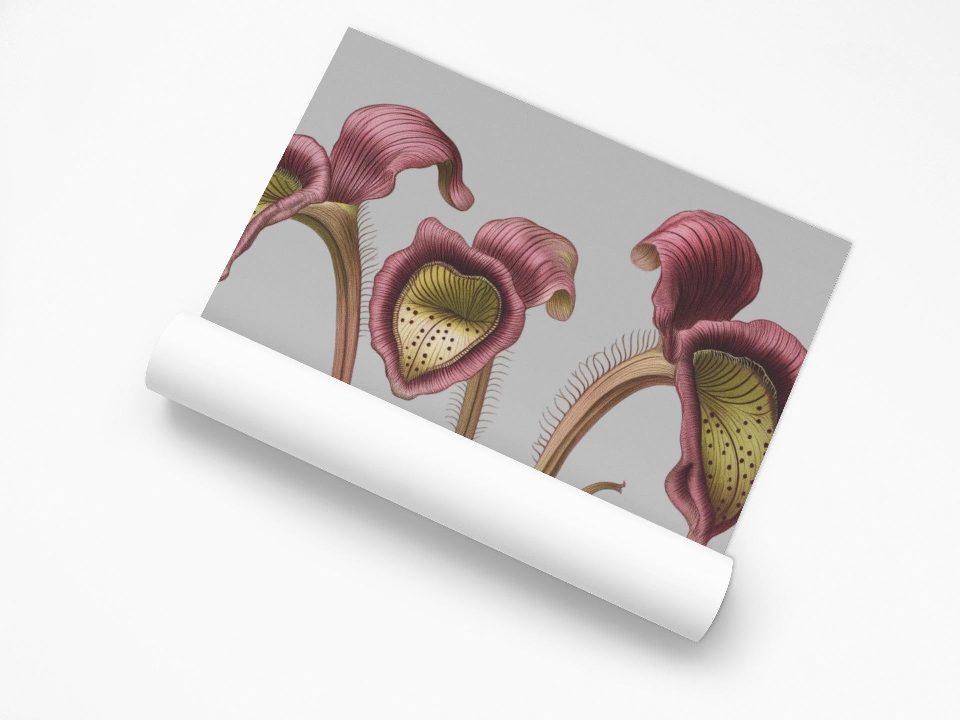Pitcher Plant Wall Art Print, Carnivorous Plant Botanical Poster, Framed Vertical Nature Decor for Plant Lovers & Nature Enthusiasts - Toddcraft