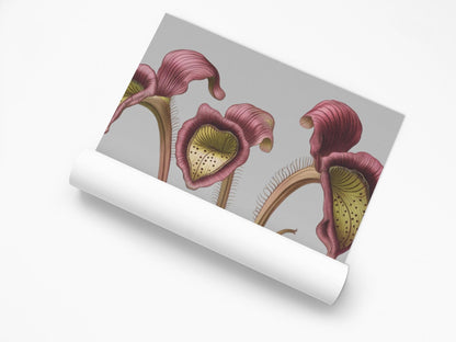 Pitcher Plant Wall Art Print, Carnivorous Plant Botanical Poster, Framed Vertical Nature Decor for Plant Lovers & Nature Enthusiasts - Toddcraft
