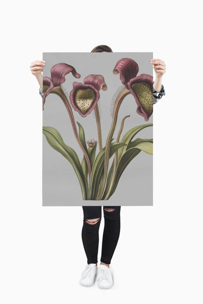 Pitcher Plant Wall Art Print, Carnivorous Plant Botanical Poster, Framed Vertical Nature Decor for Plant Lovers & Nature Enthusiasts - Toddcraft
