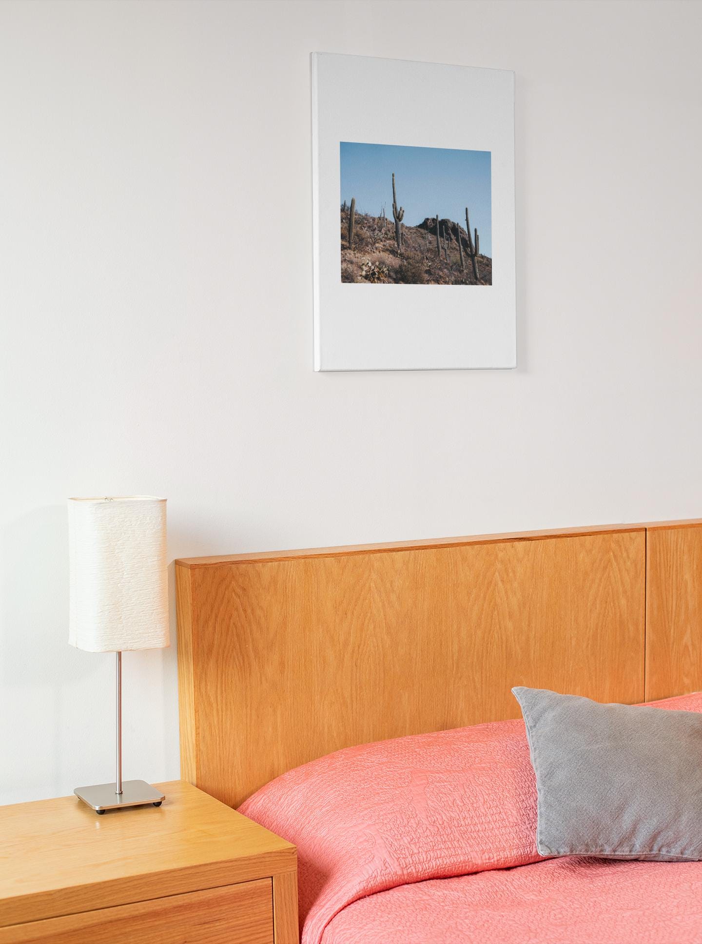 Saguaro Desert Landscape Graphic Tee | Classic Stretched Canvas Style T-Shirt | Southwest Sunset Nature Shirt - Toddcraft